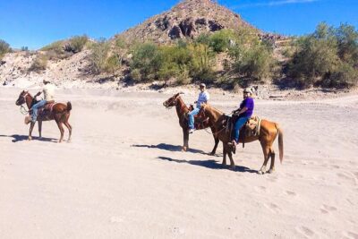 Horseback ride and witness magical sunset of Loreto, BCS - Choosing Shore Riding or a Mountainier Route