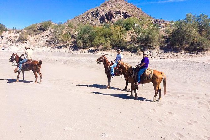 Horseback ride and witness magical sunset of Loreto, BCS - Choosing Shore Riding or a Mountainier Route