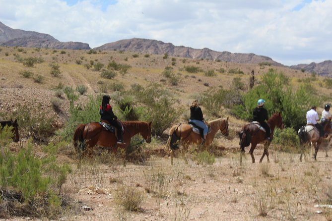 Horseback Ride in Las Vegas - What Happens on the Trail: From Mounting to Lava Butte