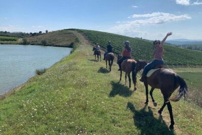 Horseback Ride in S.Gimignano with Tuscan Lunch Chianti Tasting - Horseback riding in San Gimignano country: calm horses and beginner-friendly structure