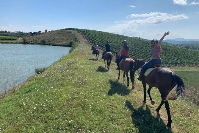 Horseback Ride in S.Gimignano with Tuscan Lunch Chianti Tasting - Horseback riding in San Gimignano country: calm horses and beginner-friendly structure