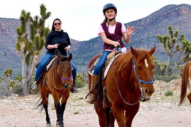 Horseback Ride Joshua Tree Forest Buffalo Lunch Singing Cowboy - Timing, Weather, and What to Bring for a Smooth Morning