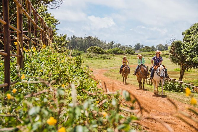 Horseback Ride Like an Authentic Paniolo in Kahuku - Gunstock Ranch in Kahuku: Your Paniolo Start Point