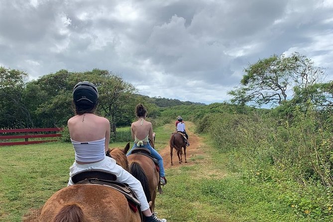 Horseback Ride Like an Authentic Paniolo in Kahuku - Price and Value: Is $155 Worth It?