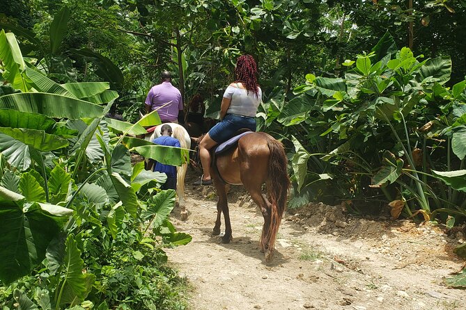 Horseback 'Ride N Swim' & Dunns River Falls from Montego Bay - Key highlights to know before you go