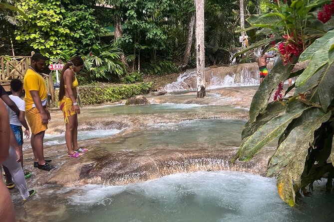 Horseback 'Ride N Swim' & Dunns River Falls from Montego Bay - How pickup, time, and free hours work in real life