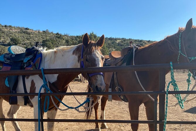 Horseback Ride near the Grand Canyon's West Rim - Key highlights you’ll feel right away