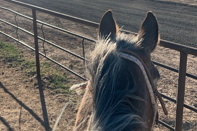 Horseback Ride near the Grand Canyon's West Rim - Lunch at Last Chance Restaurant and Saloon: the included break you’ll be glad about