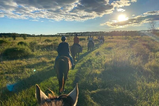Horseback Ride on Scenic Lake Louisa Trails - Key things that make this ride worth your time