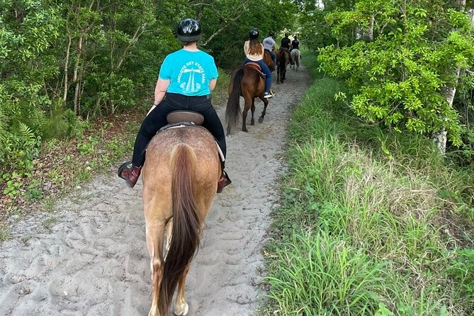Horseback Ride on Scenic Lake Louisa Trails - The ride itself: miles of trails plus stories you’ll actually use