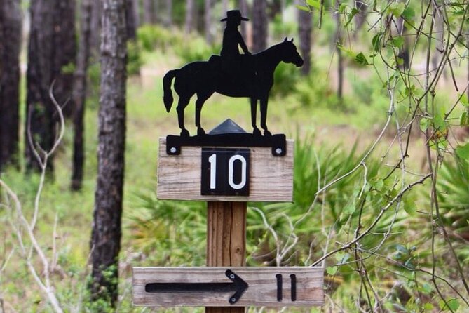 Horseback Ride on Scenic Lake Louisa Trails - Horses and guides: calm animals and names you’ll want to repeat