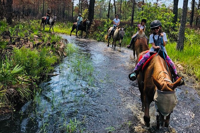 Horseback Ride on Scenic Lake Louisa Trails - What to bring and how to get the most out of your time