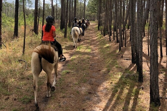 Horseback Ride on Scenic Lake Louisa Trails - Value check: what $79 buys you (and what it doesn’t)