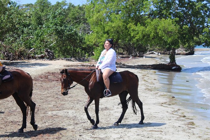 Horseback Ride & Swim Jamaica/Montego Bay - Price and value: where the $150 goes in Montego Bay
