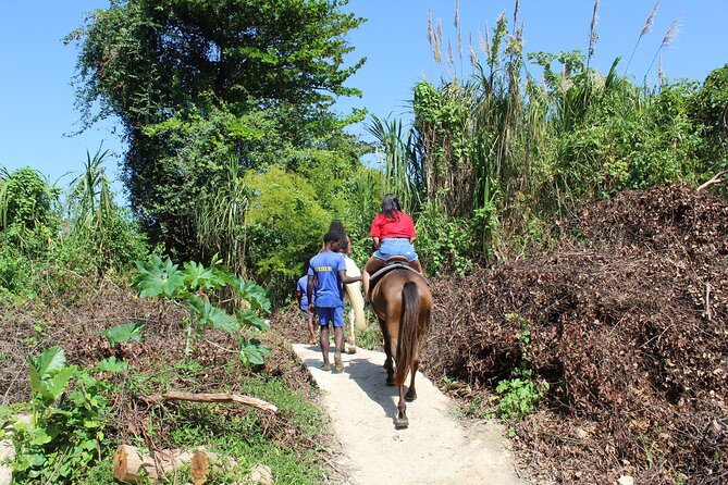 Horseback Ride & Swim Jamaica/Montego Bay - Timing, duration, and how to plan your day