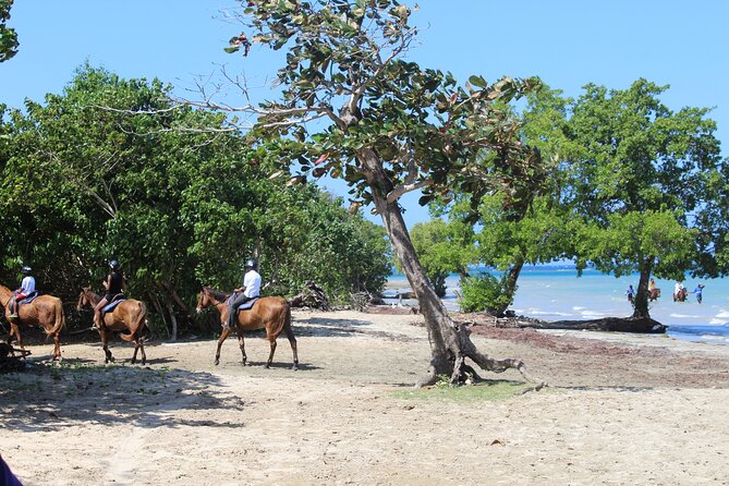 Horseback Ride & Swim Jamaica/Montego Bay - Safety, licensing, and the one caution flag I can’t ignore