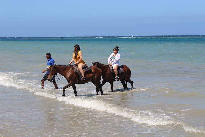 Horseback Ride & Swim Jamaica/Montego Bay - Who should book Horseback Ride and Swim Jamaica