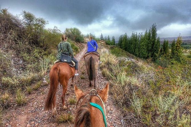 Horseback ride through vineyards followed by gourmet lunch - Key things to know before you go