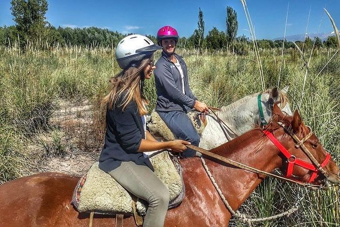 Horseback ride through vineyards followed by gourmet lunch - Getting to Lunlunta: the minivan ride and timing that keeps it smooth
