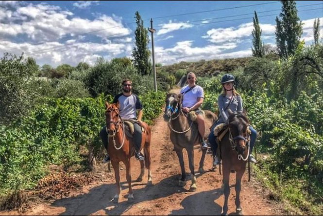 Horseback ride through vineyards followed by gourmet lunch - How the route highlights Mendoza’s wine country beyond the winery walls