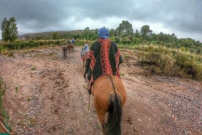 Horseback ride through vineyards followed by gourmet lunch - The 90-minute horseback ride: vineyards, olive groves, and the Rio Mendoza area