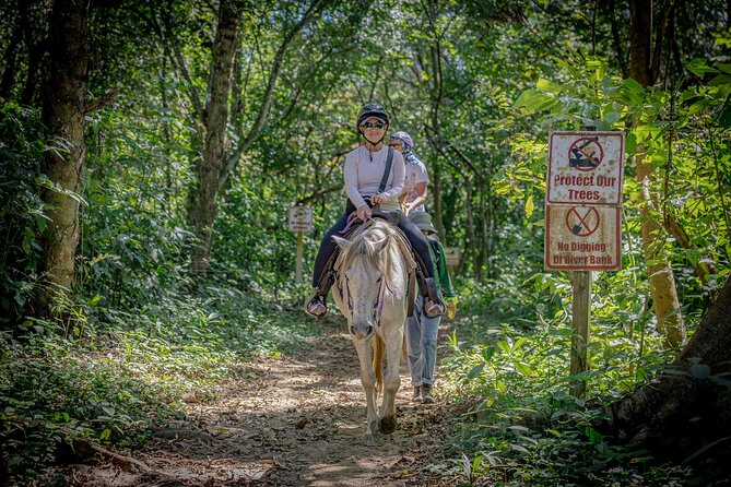 Horseback Ride to Xunantunich Maya Ruins - Horses and first-timer comfort: what to expect in real life