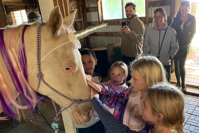 Horseback Rides, Interactions, and Petting Zoo - The horseback riding flow: slow starts, slow finishes, and Roger in control