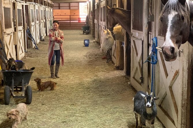 Horseback Rides, Interactions, and Petting Zoo - Price, group size, and value: $120 per person for a small, private setup
