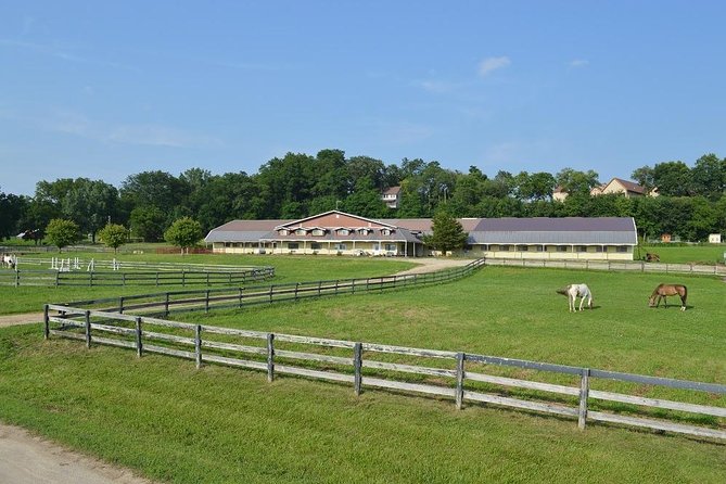 Horseback Rides, Interactions, and Petting Zoo - Should you book this horseback ride and petting zoo in Galena?