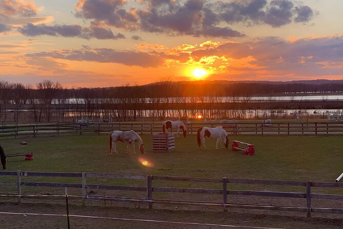 Horseback Rides, Interactions, and Petting Zoo - Meet the animals: horses, mini horse, goats, pigs, ducks, and more