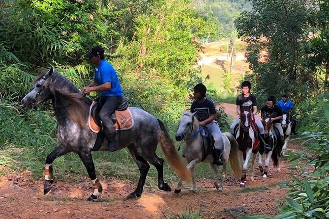 Horseback Riding 1 hour trail - Quick hits