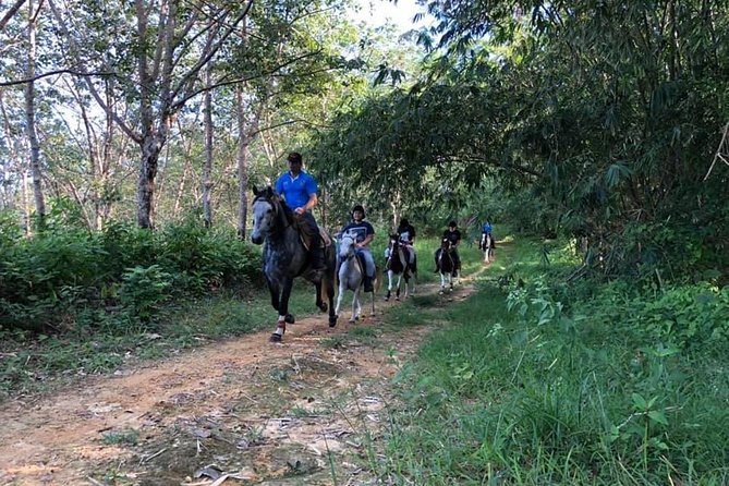 Horseback Riding 1 hour trail - Leaving the stable: rubber plantations and fruit orchards