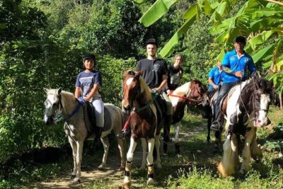 Horseback Riding 1 hour trail - The pre-ride briefing: where you learn the rhythm fast