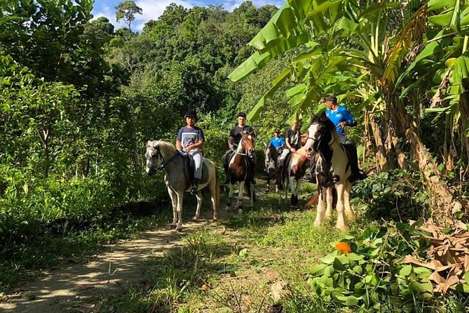 Horseback Riding 1 hour trail - Timing and opening hours: when you can go