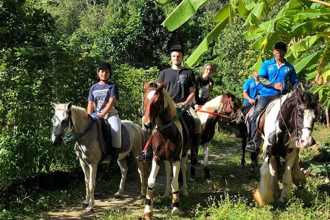 Horseback Riding 1 hour trail - The pre-ride briefing: where you learn the rhythm fast