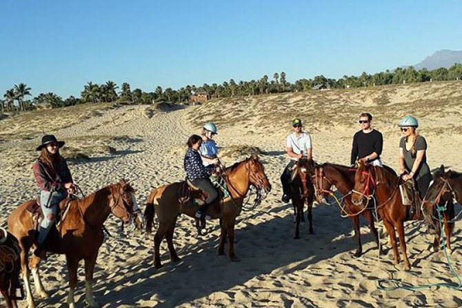 Horseback riding - Key Highlights You’ll Care About