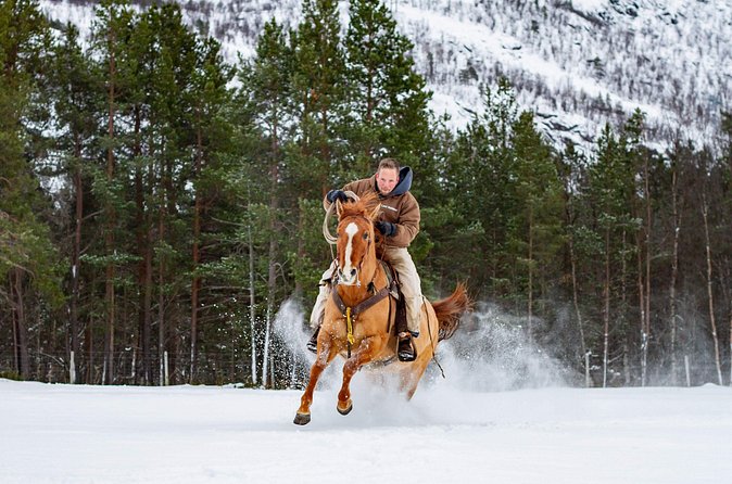 Horseback riding - Small Group Size (Max 4) Means More Attention