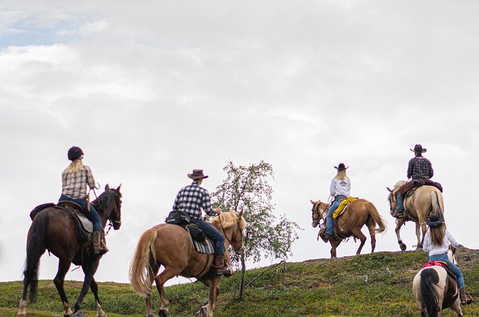 Horseback riding - Price and Value: What $279.96 Per Person Covers