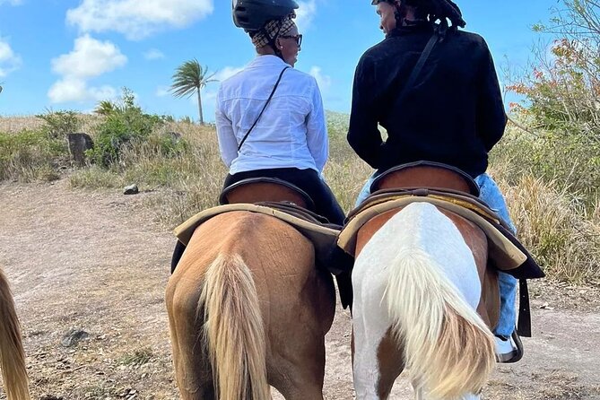 Horseback Riding, A Scenic Escape - First You Meet the Horses, Then You’re on the Trail