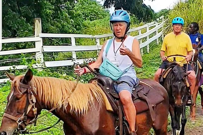 Horseback Riding, A Scenic Escape - The Basseterre Viewpoint Stop and Sofa Stone Photos