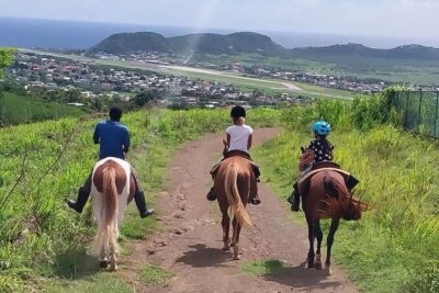Horseback Riding, A Scenic Escape - Tropical Fruit Trees and Poinciana Flowers Along the Ride