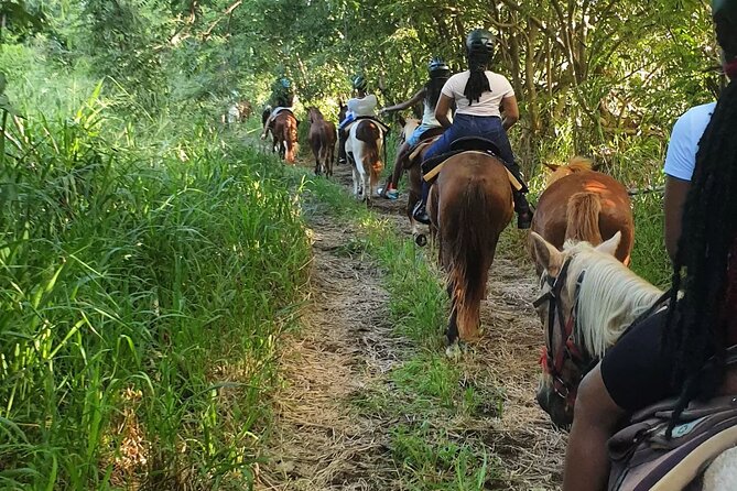 Horseback Riding, A Scenic Escape - Price and Timing: Is $110 Good Value?