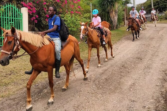 Horseback Riding, A Scenic Escape - Who Should Book This Ride, and Who Might Skip It?