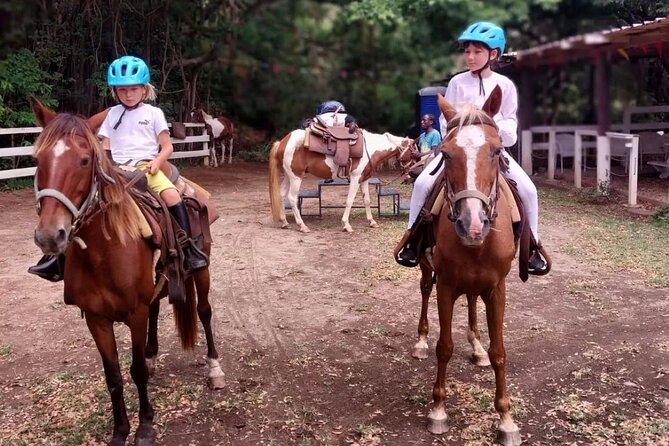 Horseback Riding, A Scenic Escape - Should You Book Horseback Riding, A Scenic Escape?