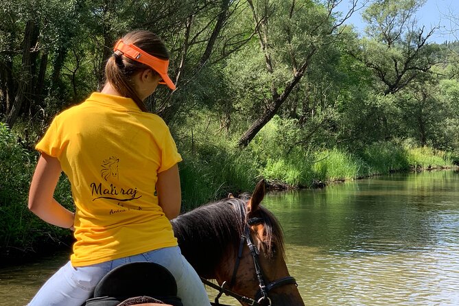 Horseback Riding Across River Ljuta with transport - The River Crossing: When You Get Wet