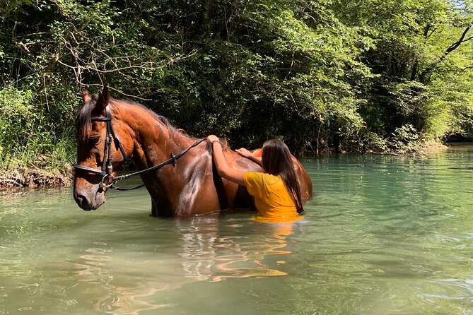 Horseback Riding Across River Ljuta with transport - Price and Value: Is $230.36 Worth It?