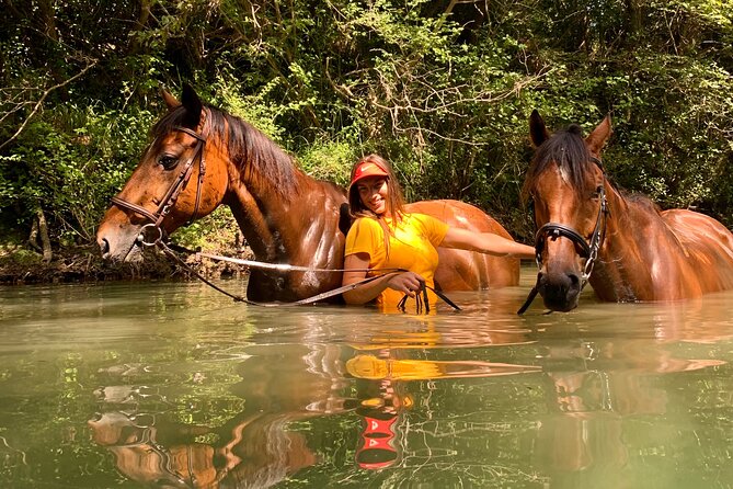 Horseback Riding Across River Ljuta with transport - Who This Ride Fits Best in the Dubrovnik Area