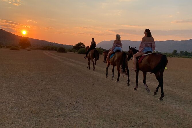 Horseback Riding Across River Ljuta with transport - Konavle Meadows: The Scenic Warm-Up on Horseback