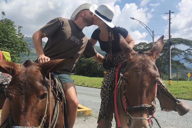 Horseback Riding Adventure from Medellin - Who should book this ride—and who might want to plan a different day