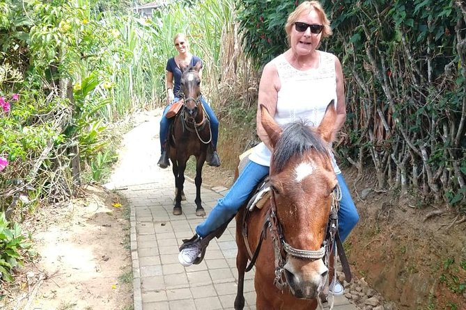 Horseback Riding Adventure from Medellin - Practical tips that actually help on the day